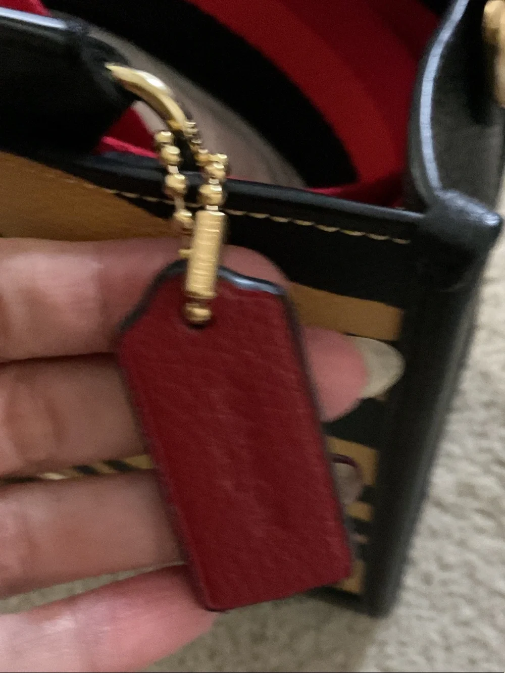 Coach Zebra-Print Mini Satchel with guitar Strap